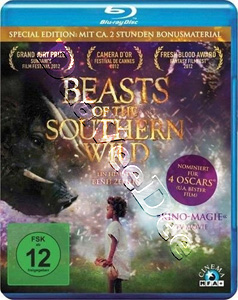 Beasts of the Southern Wild |   Blu-Ray